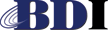 Business Decisions, Inc. Logo